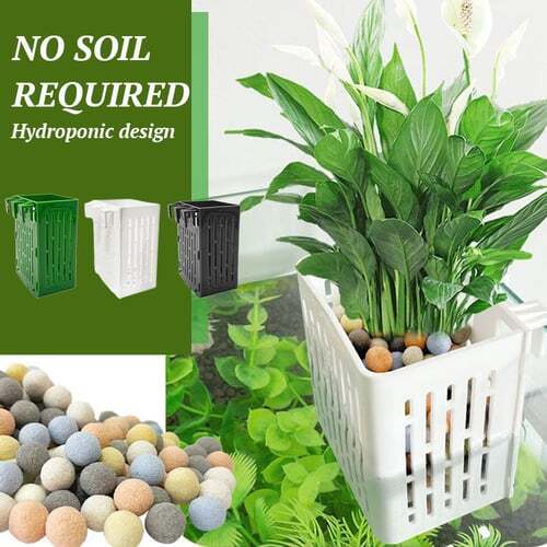 1+1 Free |Innovative Hydroponic Design
