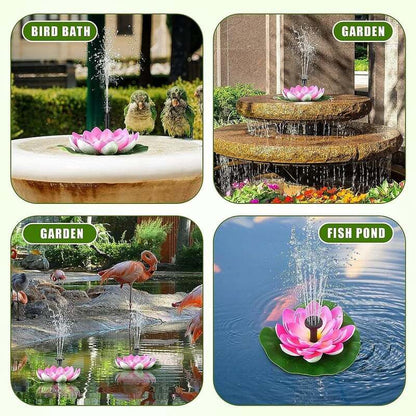 Harmonizing Lotus Stream