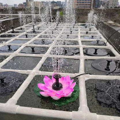 Harmonizing Lotus Stream