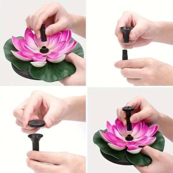 Harmonizing Lotus Stream