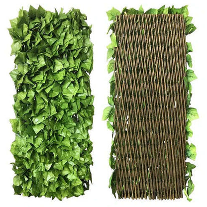 GreenBarrier