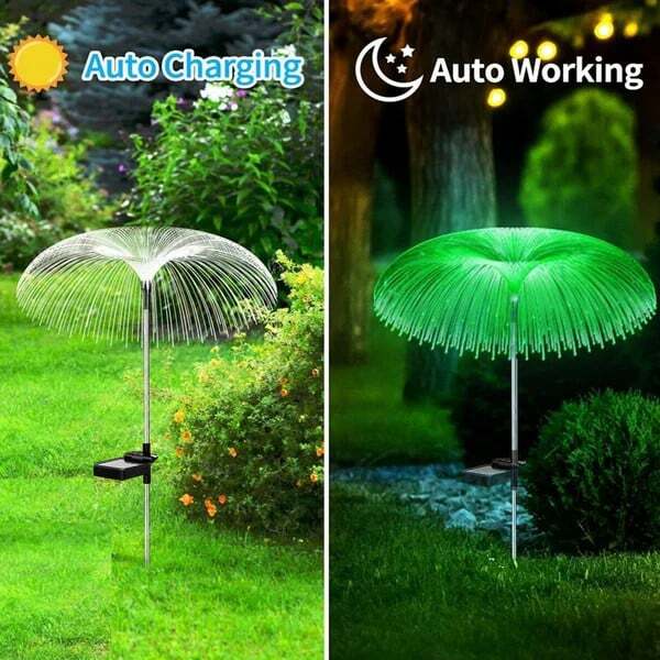Enchanting Outdoor Ambience