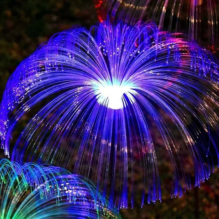 Enchanting Outdoor Ambience